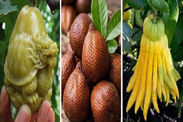 चीन ने बदल दिया फलों का DNA, आलू को बना दिया सेब, बांस को बना दिया गन्ना